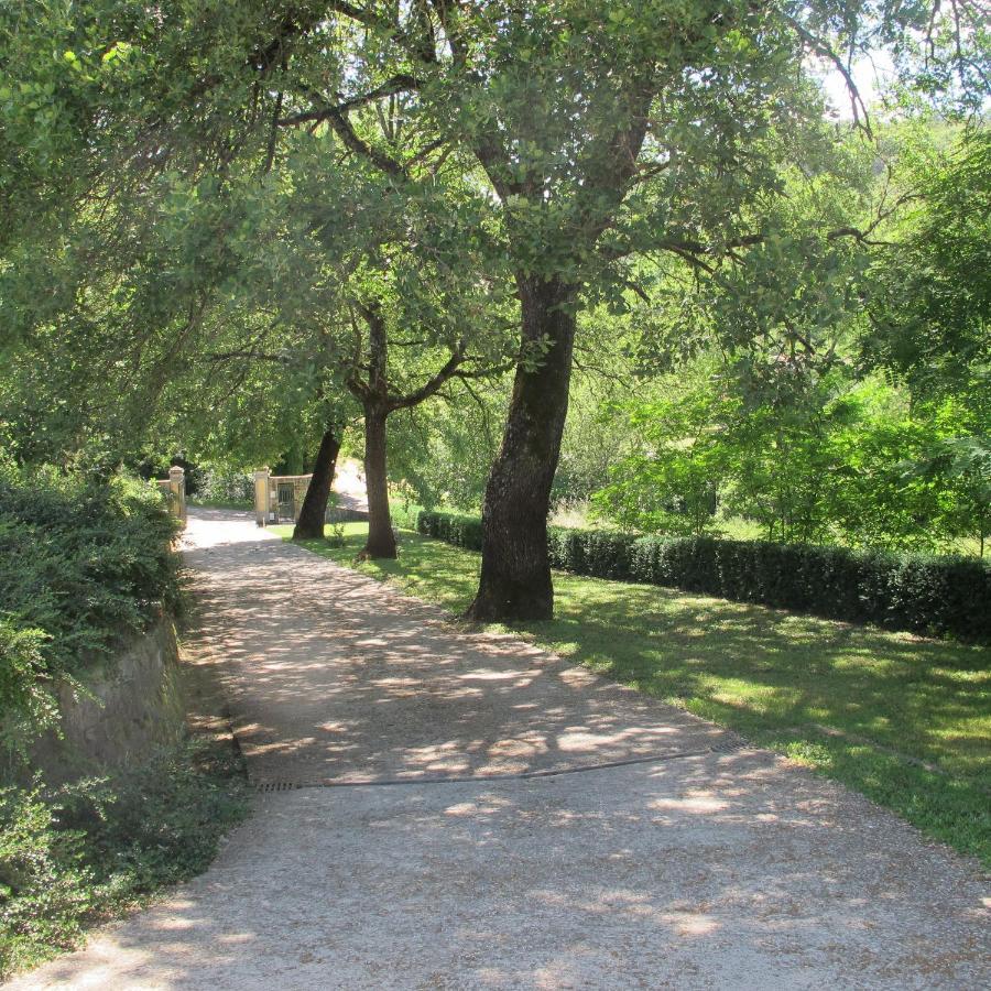 Agriturismo Podere Filicaia San Giovanni Valdarno Exterior foto
