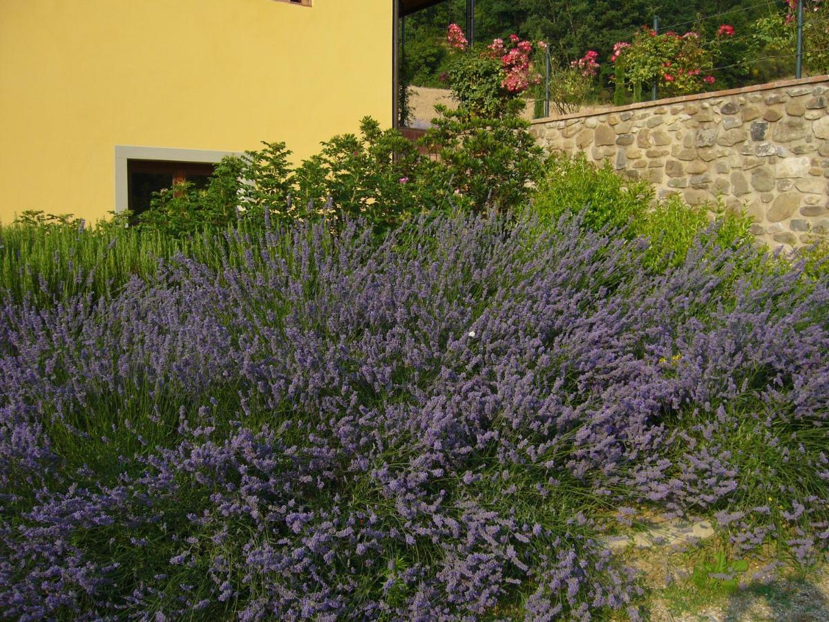 Agriturismo Podere Filicaia San Giovanni Valdarno Exterior foto